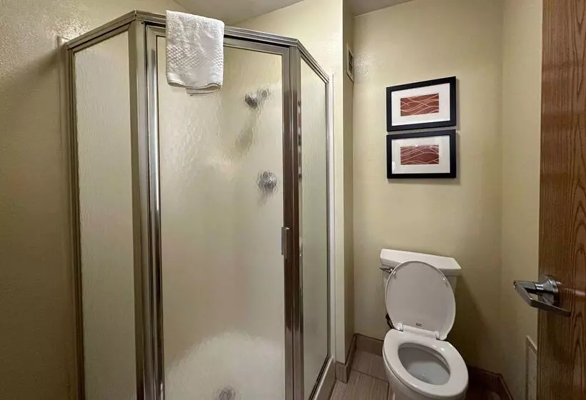 Отель Quality Inn Perryville I 55