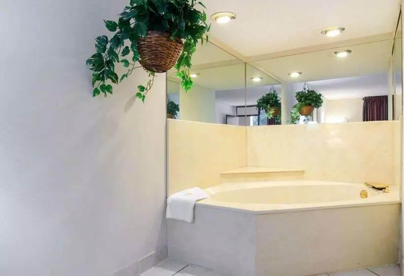 酒店 Rodeway Inn Norcross