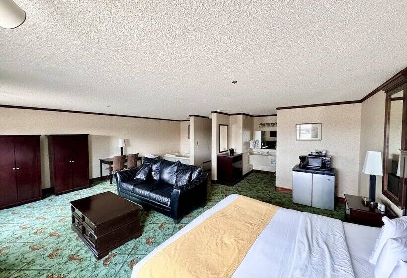 酒店 Stay Wise Inns Of Montrose