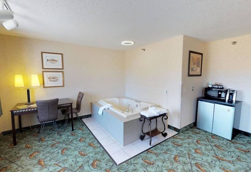 酒店 Stay Wise Inns Of Montrose