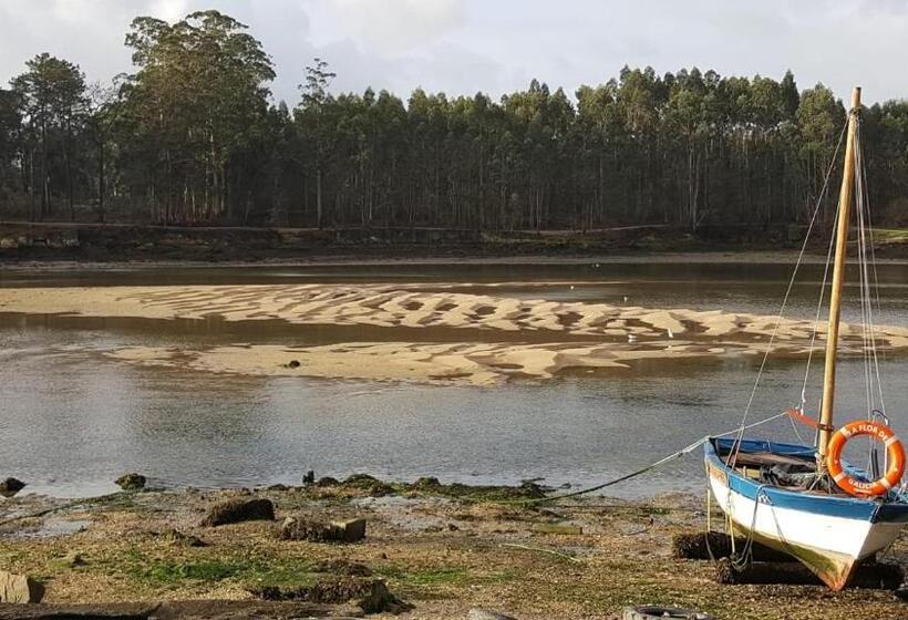 هاستل A Corticela