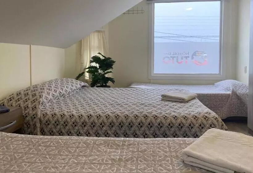 ユースホステル Hostal Del Tuto