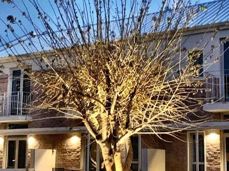 تختخواب و صبحانه The Windhoek Luxury Suites