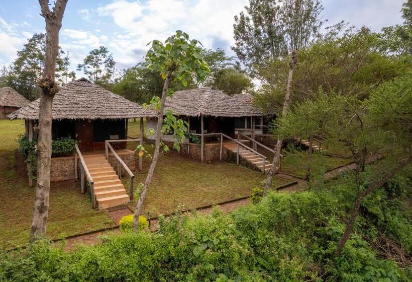 酒店 Karatu Tented Lodge