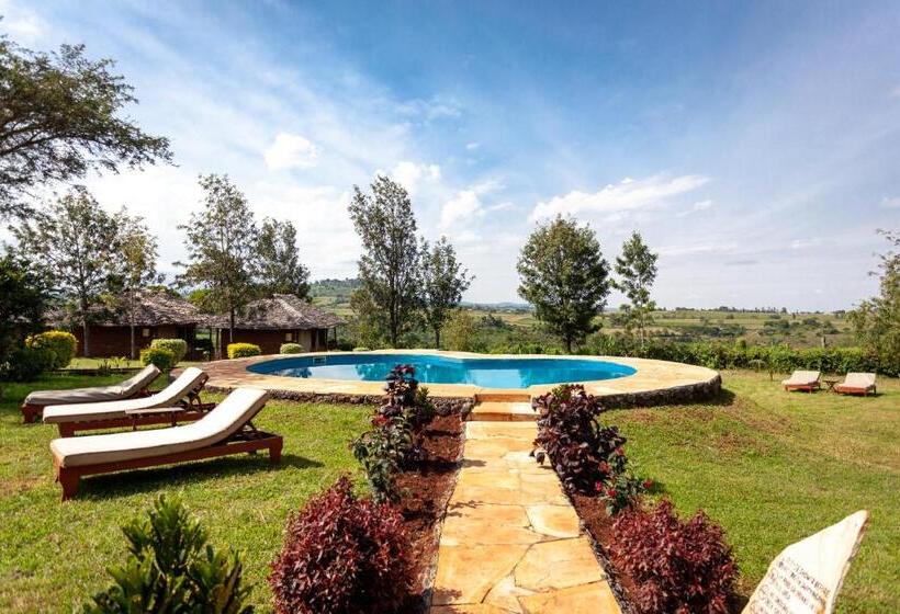 酒店 Karatu Tented Lodge