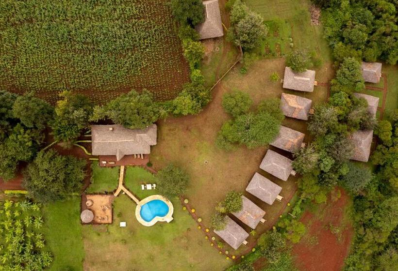 酒店 Karatu Tented Lodge