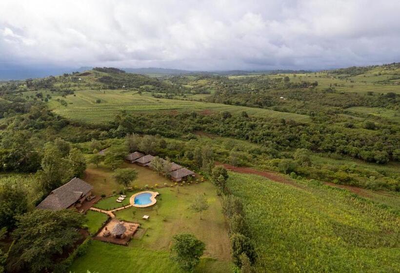 酒店 Karatu Tented Lodge