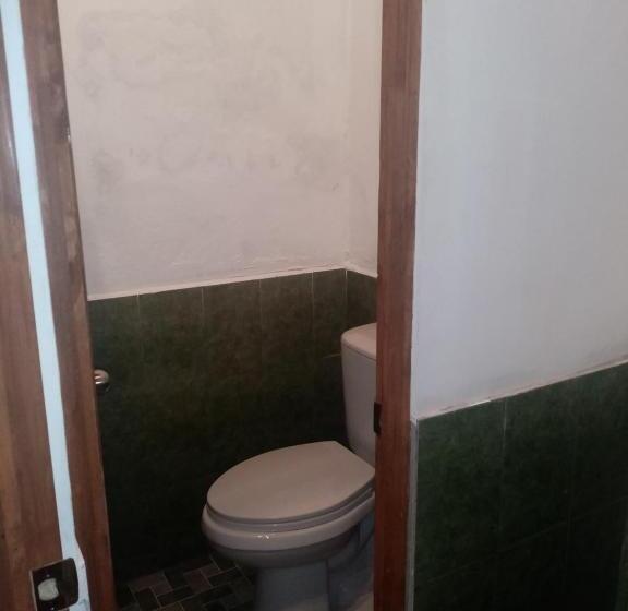 پانسیون Hostal Velvet Plaza