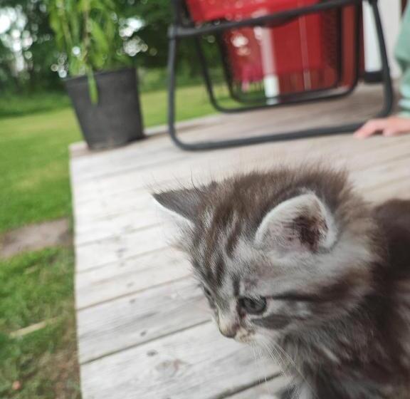 Sjugare Gård Bed & Breakfast