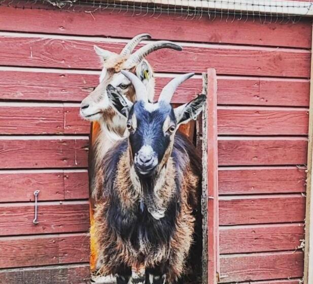 Sjugare Gård Bed & Breakfast