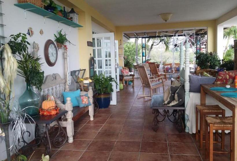 هاستل Casa Bonita Inn