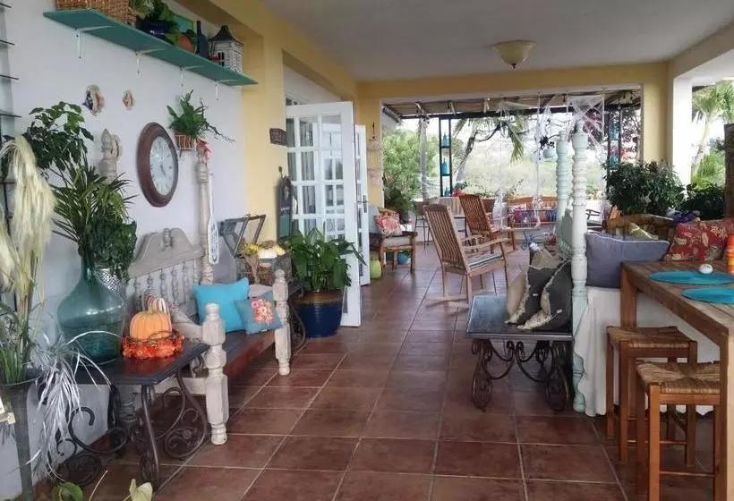 هاستل Casa Bonita Inn