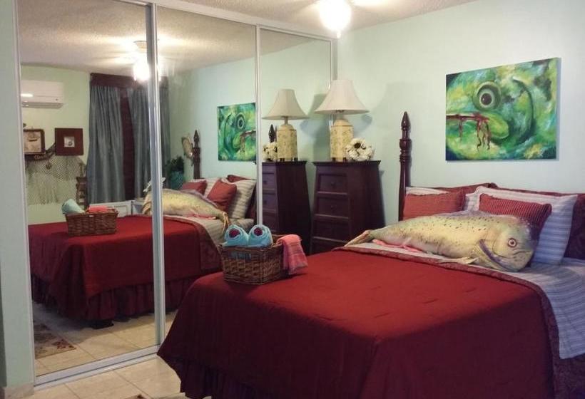 هاستل Casa Bonita Inn