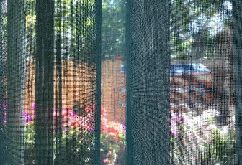 פנסיון Black Sea House Apartment Constanta