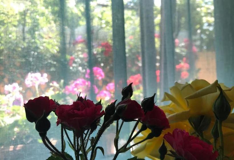 פנסיון Black Sea House Apartment Constanta