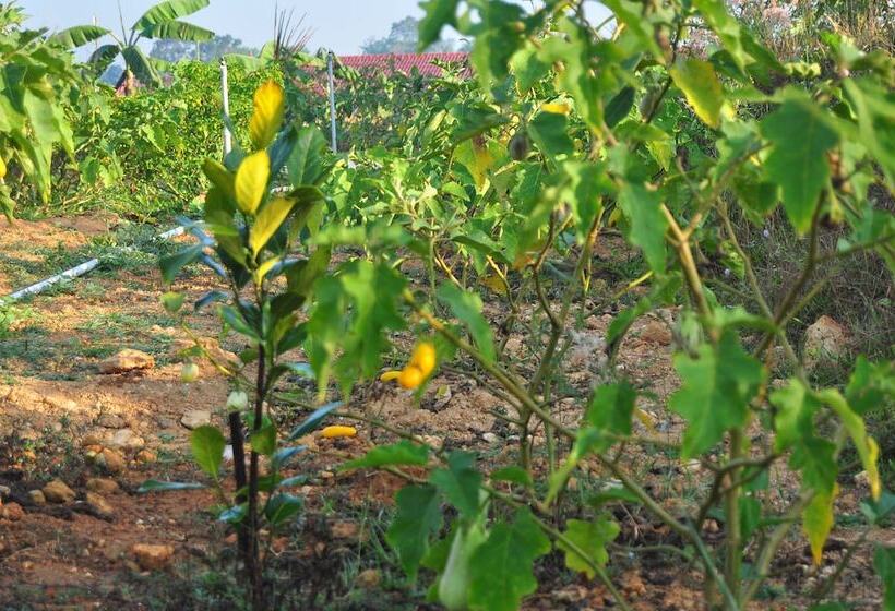 منتجع Indimasi  Ayurveda & Healing Village