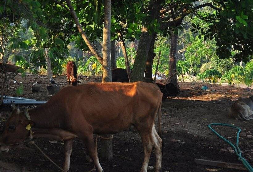 منتجع Indimasi  Ayurveda & Healing Village