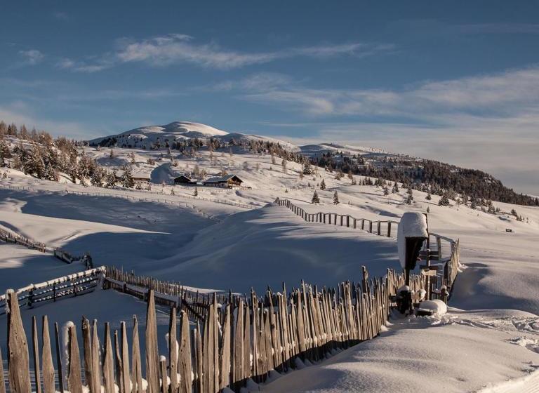 Villa Grüntaler By Hotel Schönblick