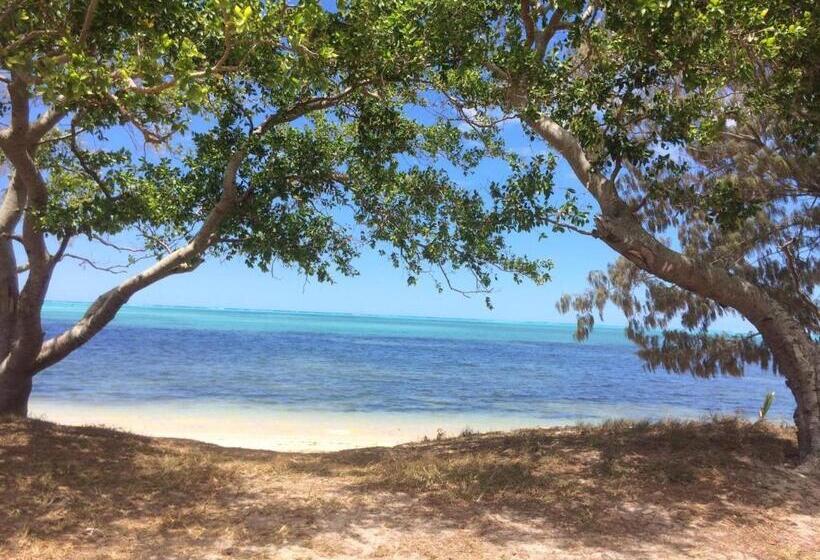 هاستل Auberge De Poé