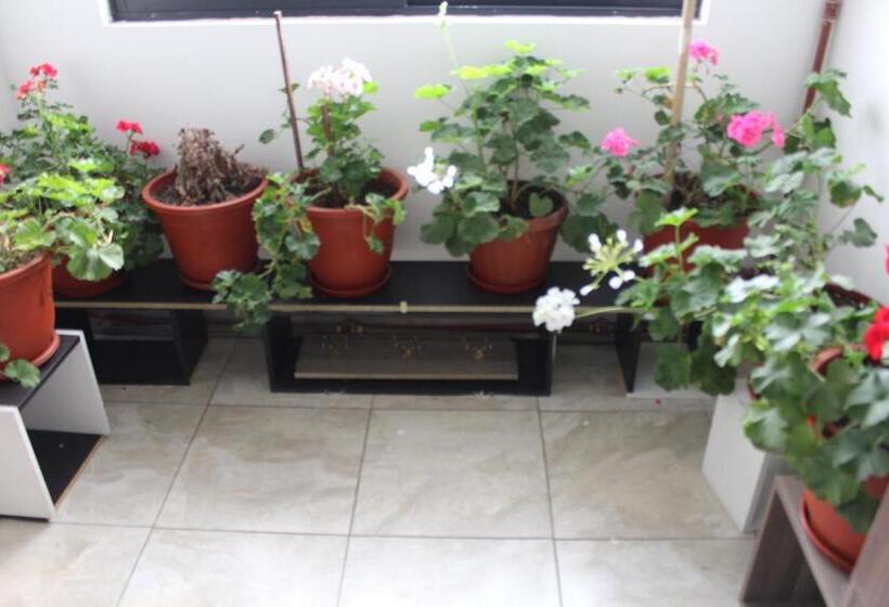 Panzió Julius Hostal, Desde Las 14 Horas Hasta 12 Del Mediodía