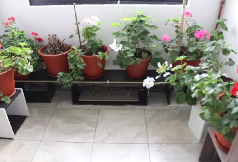 Majatalo Julius Hostal, Desde Las 14 Horas Hasta 12 Del Mediodía