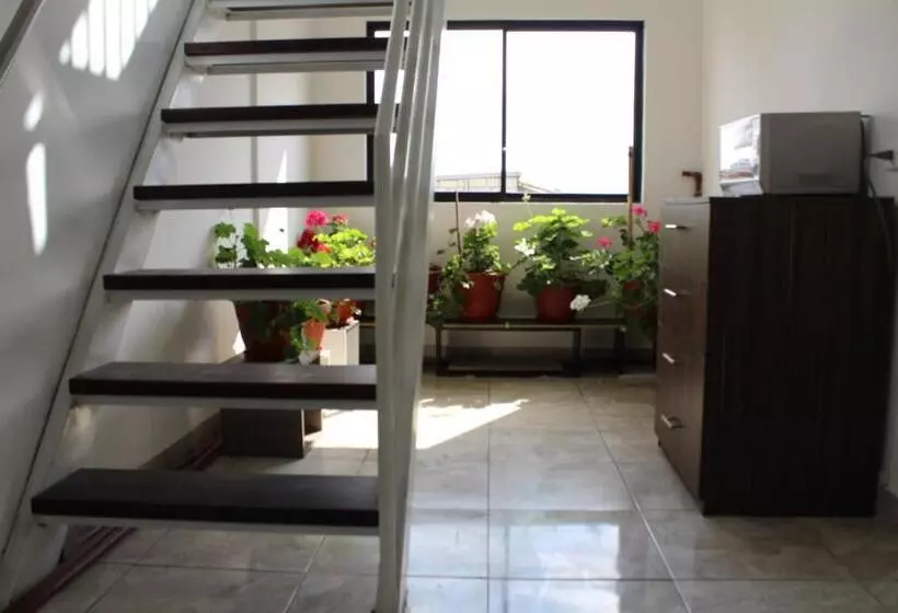 Majatalo Julius Hostal, Desde Las 14 Horas Hasta 12 Del Mediodía