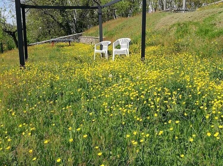 צימר Fattoria Del Pino