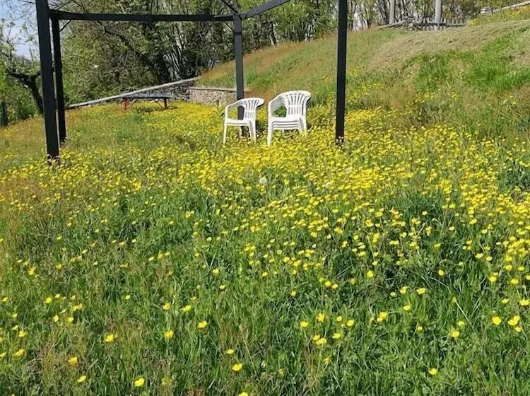 ベッドアンドブレックファースト Fattoria Del Pino