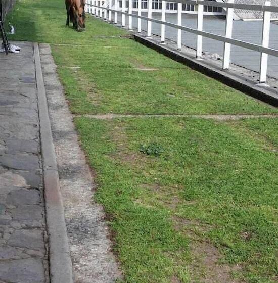 צימר Fattoria Del Pino