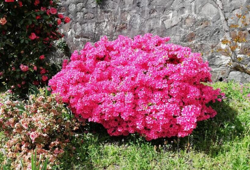 צימר Fattoria Del Pino