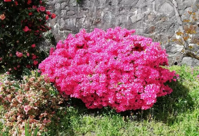 ベッドアンドブレックファースト Fattoria Del Pino