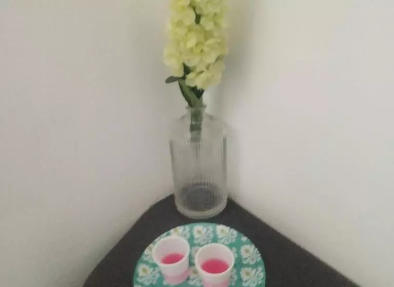 ペンション Boel Boutique Hostal