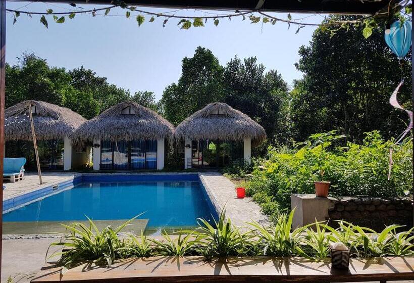 هاستل Nomadders Ha Giang