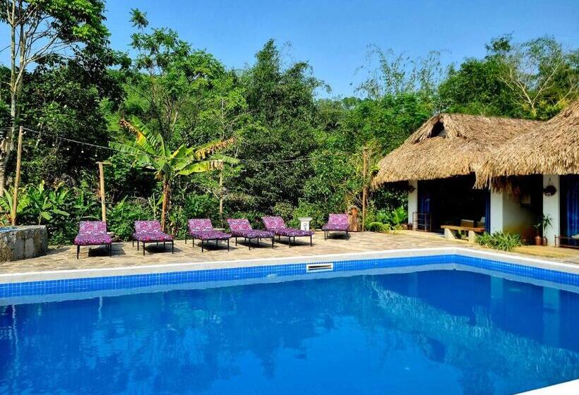 هاستل Nomadders Ha Giang