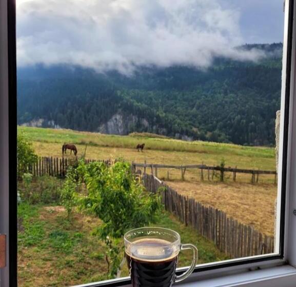 پانسیون Bombora