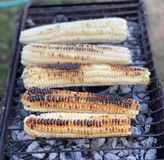 پانسیون Bombora