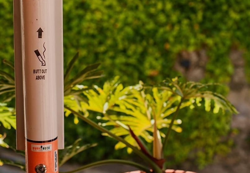 리조트 Araiya Palampur