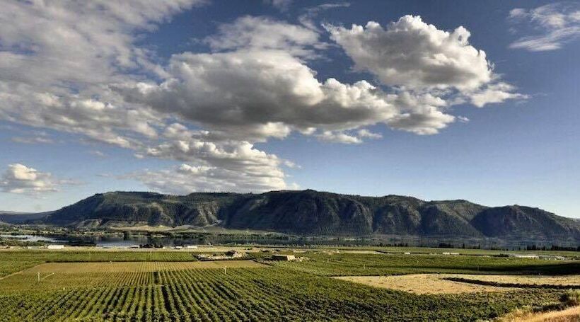 Schronisko Lone Point Cellars