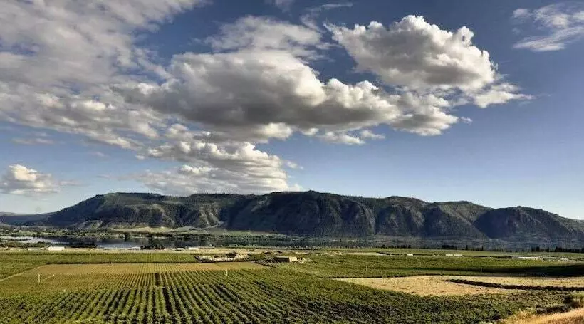 Retkeilymaja Lone Point Cellars