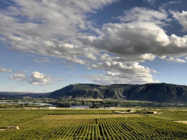 Schronisko Lone Point Cellars