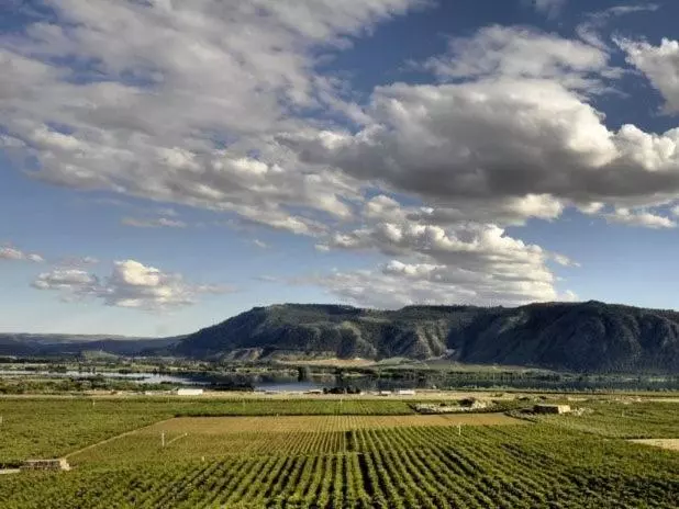 Retkeilymaja Lone Point Cellars