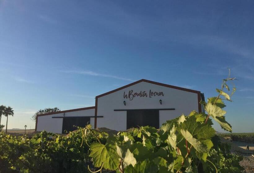 민박 La Bendita Locura