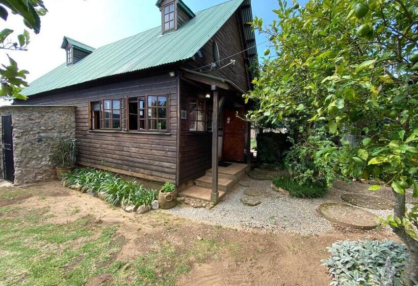 Пансион Bohemian Garden Cottages