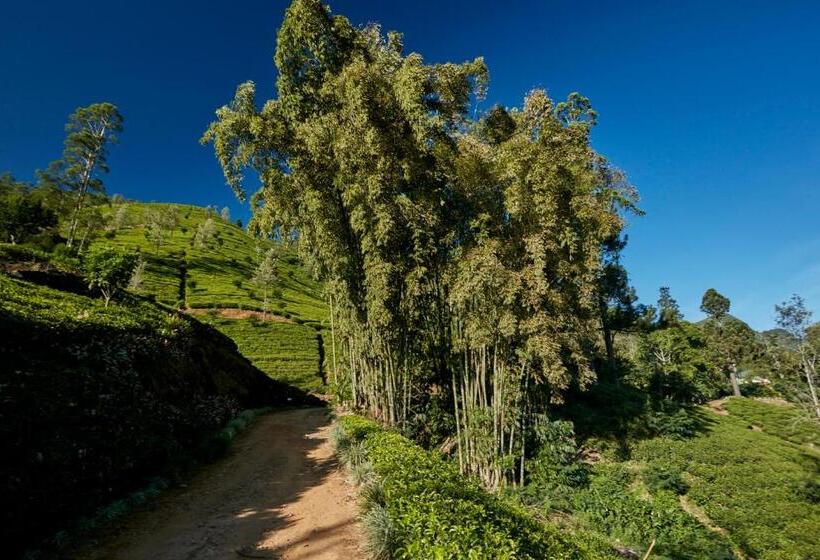 Resort Claverton By Ceylon Bungalows