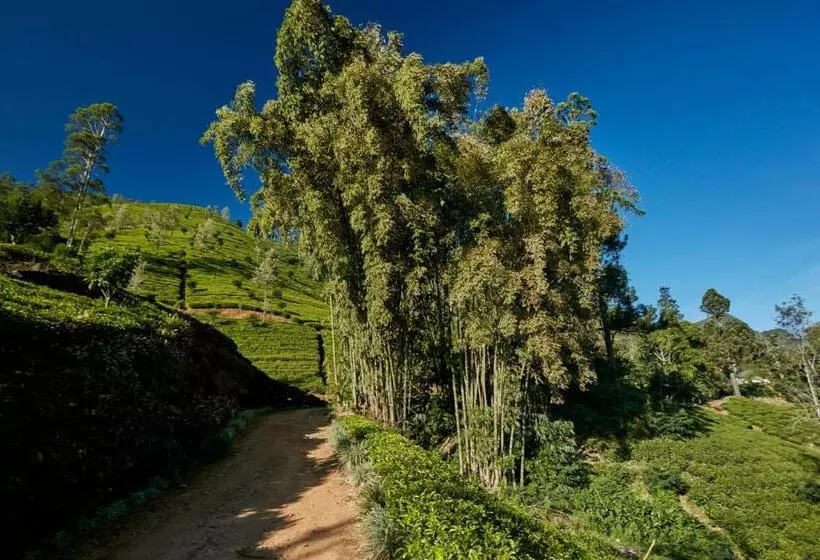 Lomakeskus Claverton By Ceylon Bungalows
