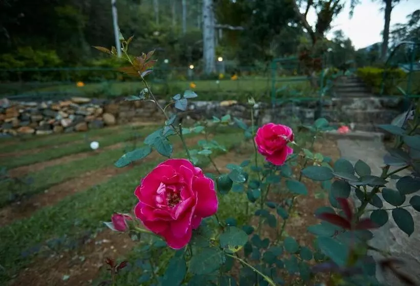 Lomakeskus Claverton By Ceylon Bungalows
