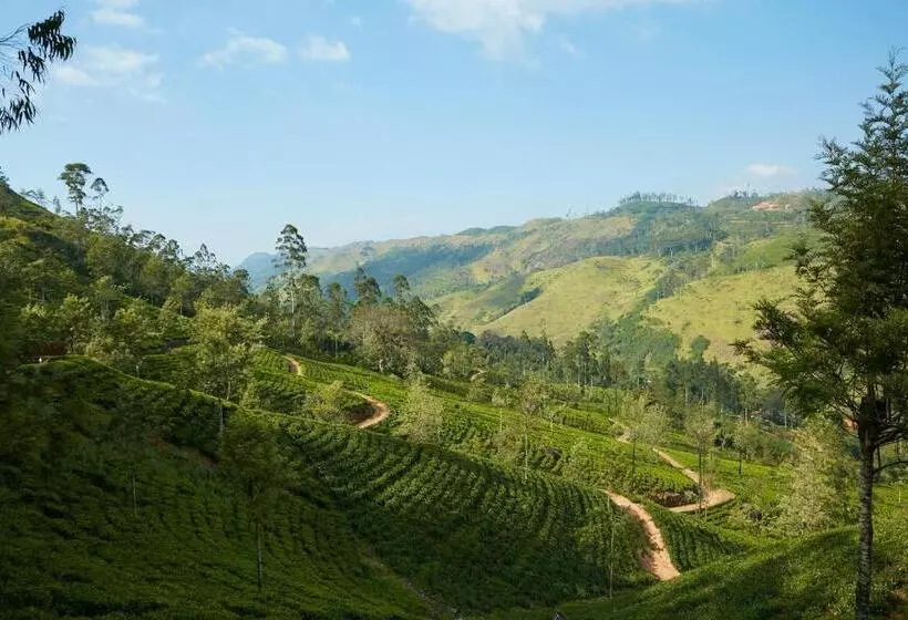 Lomakeskus Claverton By Ceylon Bungalows