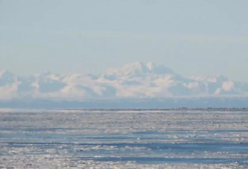 ベッドアンドブレックファースト Copper Whale Inn