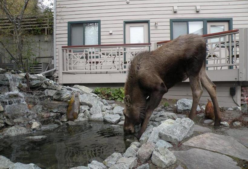 مبيت وإفطار Copper Whale Inn