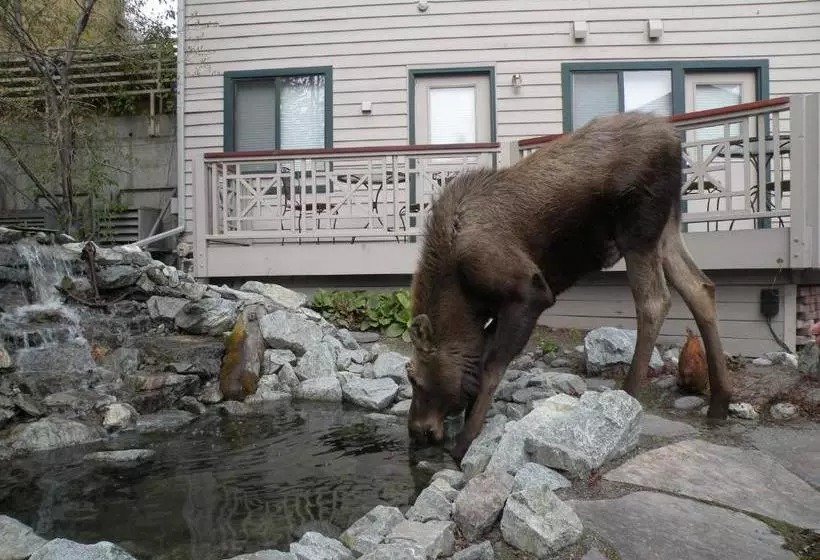 ベッドアンドブレックファースト Copper Whale Inn